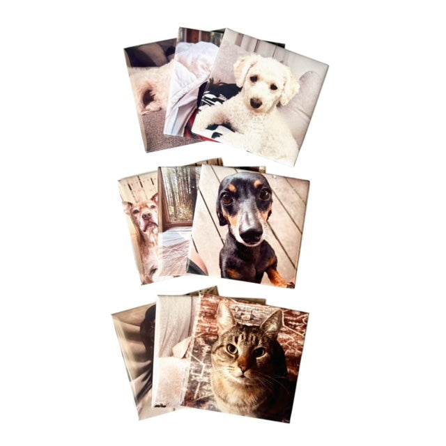 Photo Magnets
