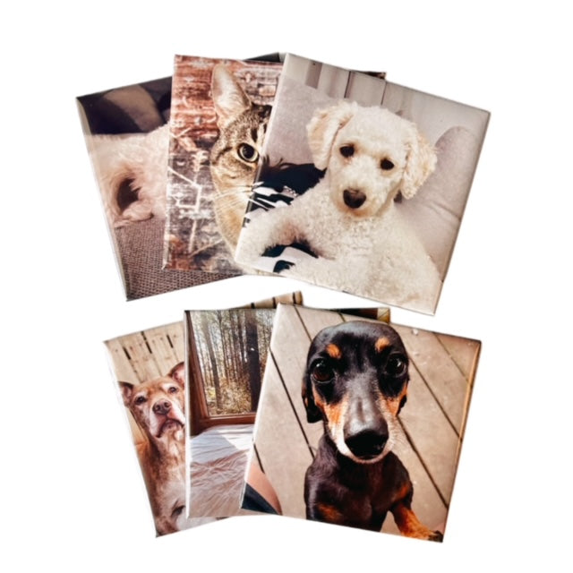 Photo Magnets